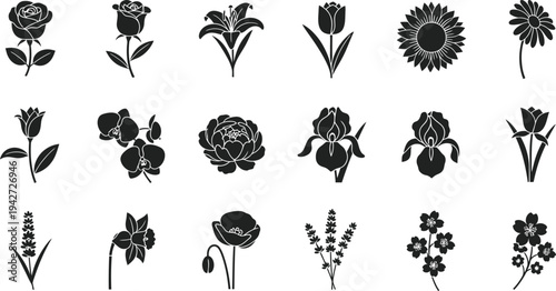 Black and white floral silhouettes on white background flowers 3