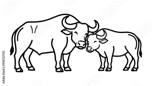 Affectionate Bull Duo: A heartwarming black and white illustration depicts a bull and calf in a tender embrace, showcasing the gentle side of nature.