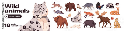 Set of wild animals. Different wildlife of forest. Various woodland fauna and nature: bison, bear, wolf, fox, owl, elk, hare and snow leopard. Flat isolated vector illustrations on white background