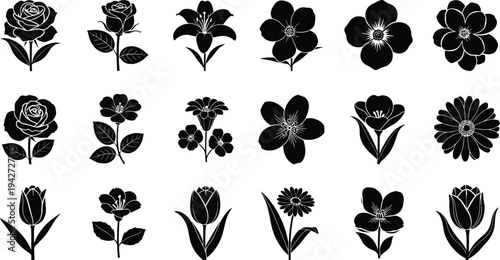 Black and white floral silhouettes on white background flowers 6
