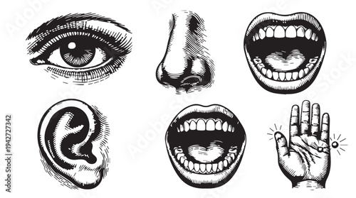 Engraved style illustrations of human senses: eye, nose, mouth, ear, and hand
