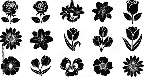 Black and white floral silhouettes on white background flowers