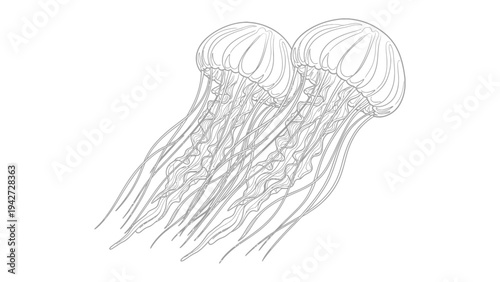 Oceanic Dance: Two graceful jellyfish float in the ocean, their delicate forms illuminated in a soft, ethereal glow, evoking a sense of tranquility.