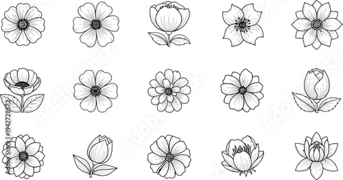 Black and white line of various flowers and buds on white background