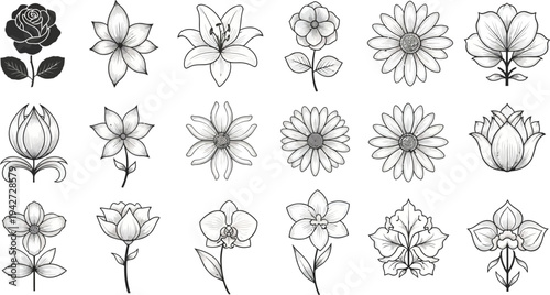 Black and white line of various flowers 1