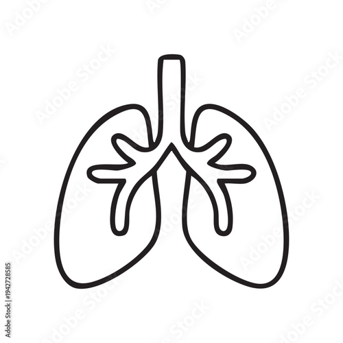 Human respiratory system vector illustration.