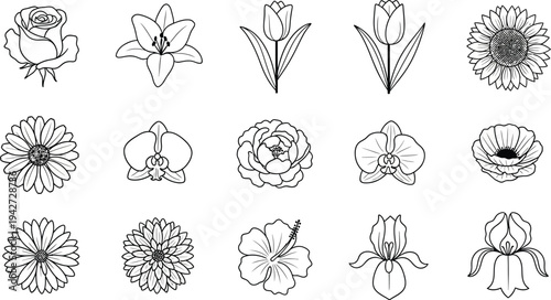 Black and white line of various flowers