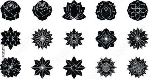 Black floral on white background flowers shapes