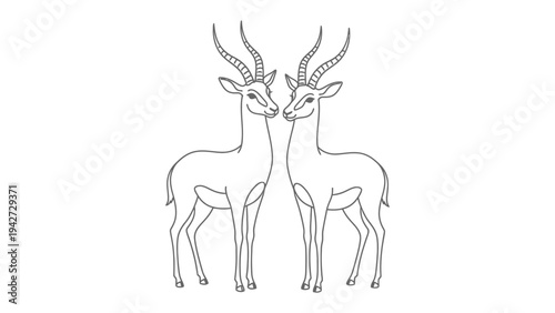 Harmony in Wildlife: Two elegant gazelles with impressive horns stand facing each other, a testament to the beauty and tranquility of the wild.