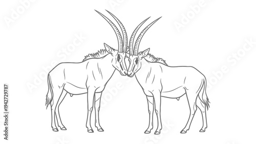 Wildlife Bond: Two oryxes with majestic horns nuzzle, creating a symbol of connection and mutual support. A touching illustration showcasing wildlife unity and care.