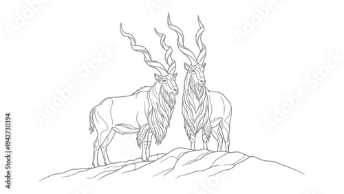 Markhor Pair on Ridge: A stylized line drawing portrays a magnificent pair of Markhor goats standing regally on a rocky ridge, their impressive spiraling horns a testament to their wild majesty.
