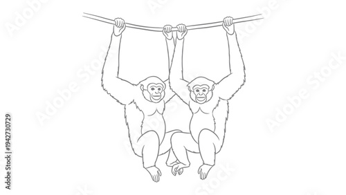 Hanging Gibbon Line Art: A delicate pen and ink rendering of two gibbons perched upon a sturdy branch. The minimalistic approach emphasizes form, lines.