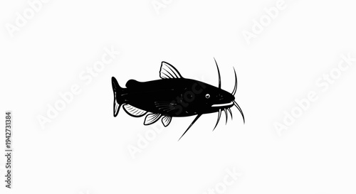 Black and white drawing of a catfish with long barbels
