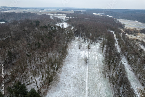 Aerial view of a deciduous forest and snowy fields during winter season