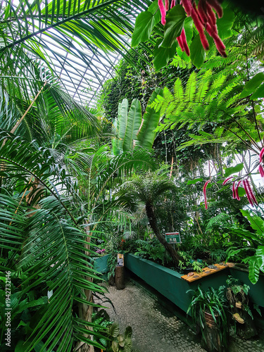 Botanical garden with growth green tropical trees and plants