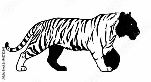 Black and white illustration of a tiger walking, with bold stripes
