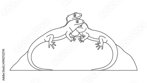 Lizard family rest on Rock: Three lizards drawn in a simple line art style, resting on a rock. A heartwarming picture of togetherness.