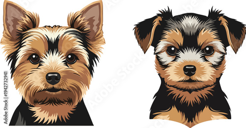 Two detailed vector illustrations of Yorkshire Terrier dog faces, featuring one adult dog with erect ears and one puppy with floppy ears, both with black and tan fur