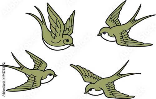 A group of birds flying in the air with their wings spread