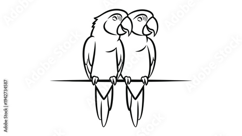 Birds of a Feather: Two parrots perch together on a branch, their elegant forms outlined with meticulous detail, capturing the essence of companionship and natural beauty.
