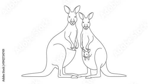 Australian Family of Kangaroos: A simple illustration of two kangaroos and joey kangaroo, symbolizing the essence of Australian wildlife.