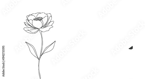An elegant minimalist single continuous line art floral illustration vector graphic design featuring a delicate stylized blossom with graceful petals and a slender stem, ideal for sophisticated brandi