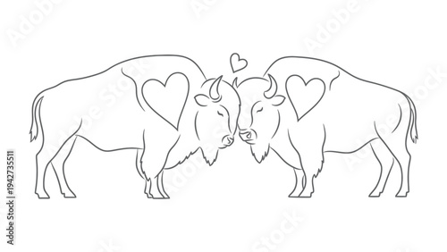 Bison Love: A charming outline illustration depicts two bison nuzzling affectionately, with hearts adorning their chests, symbolizing love and connection.