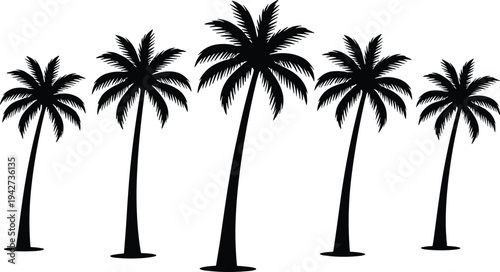 Collection of tropical palm tree silhouettes isolated on white background, vector style black coconut palm icons for summer beach design, travel, nature, tropical landscape illustrationv