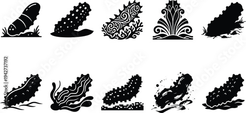 Sea cucumber silhouette vector collection featuring marine invertebrate illustrations in decorative, sketch and abstract styles, ocean wildlife icons isolated on white background