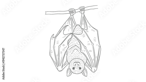Hanging Bat Illustration: An adorable bat with delicate wings hangs upside down, captured in a detailed illustration. This image evokes curiosity about nature's nocturnal creature. 