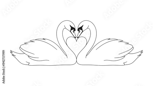 Eternal bond: Two swans form a heart shape with their necks and beaks, symbolizing eternal love and affection. A pure symbol of a deep connection.