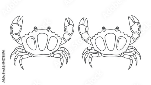 Two Line Art Crabs: An illustration of two crabs in a line art style, showcasing their claws and segmented bodies in a simple yet elegant design.