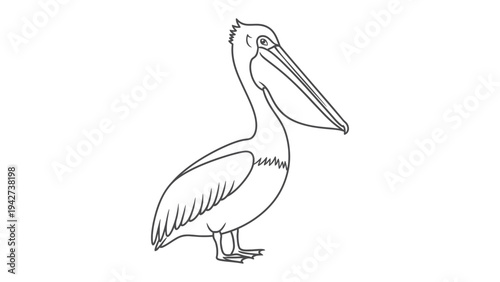 Pelican Outline: A detailed black and white illustration of a pelican in profile, emphasizing the unique features of the bird.