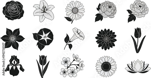 Black and white floral flowers botanical