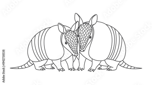 Armadillo Affection: Adorable line drawing of two armadillo nestled together, capturing a moment of warmth and affection.