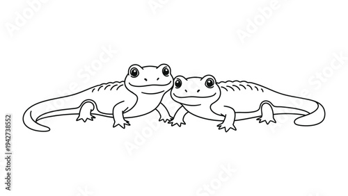 Delightful Salamander Duo: A charming pair of salamanders, rendered in a simple, elegant line drawing, create a sense of friendship and natural beauty. 