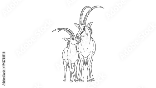 Love in the wild: Depicting a tender moment between a Sable Antelope and its young calf. A monochrome image of wildlife bonding. 