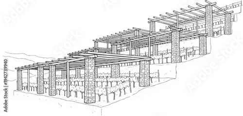 Ancient agricultural structure with tiered vineyards and stone columns supporting a wooden pergola