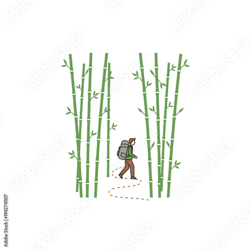 Man hiking through a dense bamboo forest path.