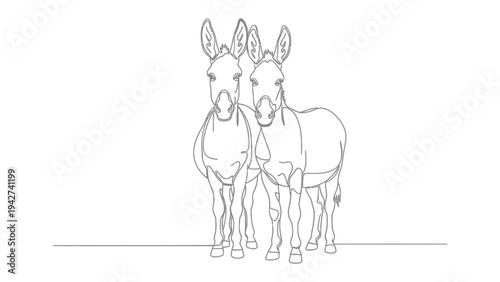 Pair of Donkeys Line Art: Two adorable donkeys stand side by side, their sketched forms capturing the essence of companionship and simplicity.