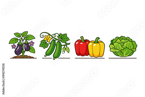 Illustrated garden vegetables lineup showing eggplant plant, cucumber vine, red and yellow bell peppers, and leafy cabbage on a white background