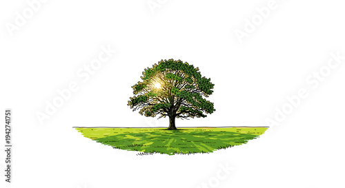 Majestic tree on green field with sunlight