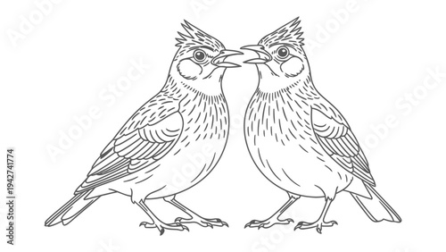 Two Birds Chatting: A simple line drawing shows two birds facing each other, appearing to be in conversation.