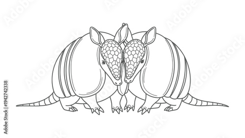 Armadillo Duo: A black-and-white illustration captures two armadillos facing each other. The focus is on the intricate detail of their scales.