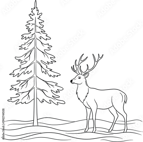 Deer standing beside a pine tree in winter landscape