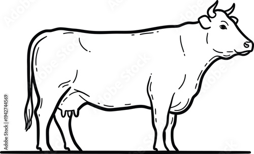 A black and white line drawing of a cow standing