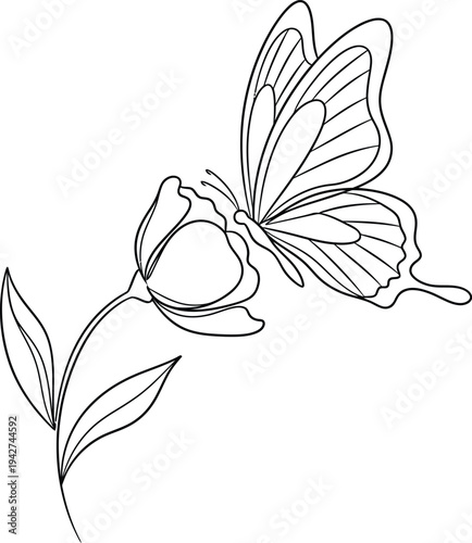 Butterfly on a flower bud with leaves