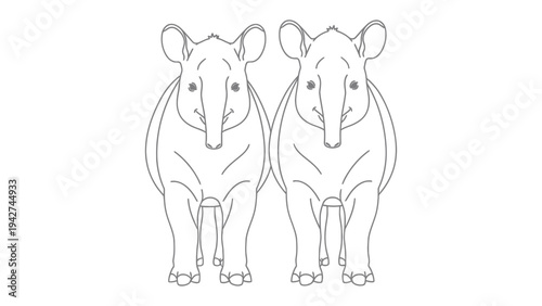 Two Tapir Outlines: A pair of stylized tapir, rendered in simple black and white lines, stands side-by-side on a clean canvas.