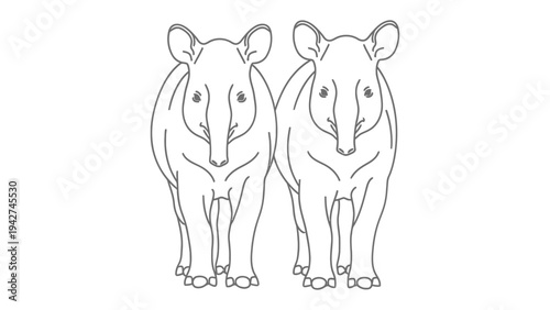 Tapir Twins: An illustration of two tapirs, showcasing their unique features and endearing nature, set against a clean backdrop. 