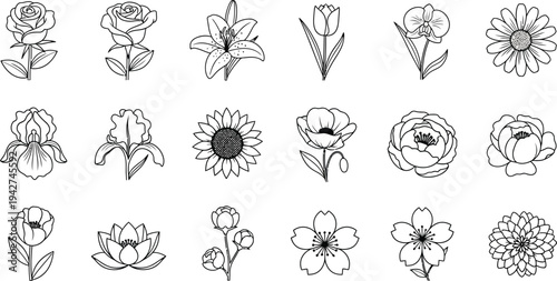 Black and white line of various flowers 1